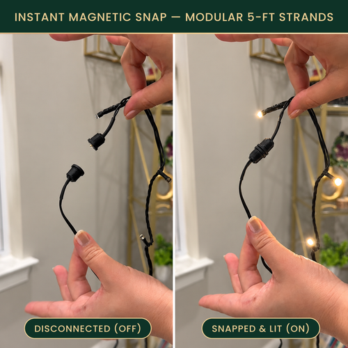 LED lights - 60ft - Magnetically connected